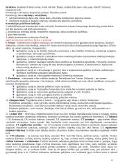 Teisės sąvokų pradmenys 4 puslapis