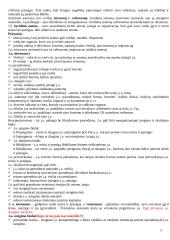 Teisės sąvokų pradmenys 5 puslapis