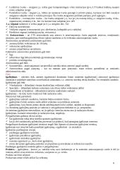 Teisės sąvokų pradmenys 6 puslapis