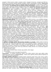 Vadybos teorijos ir samprata 3 puslapis