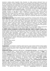 Vadybos teorijos ir samprata 4 puslapis