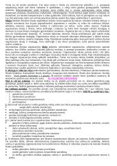 Vadybos teorijos ir samprata 6 puslapis