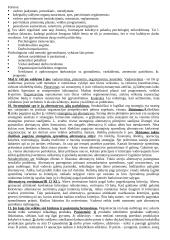 Vadybos teorijos ir samprata 7 puslapis