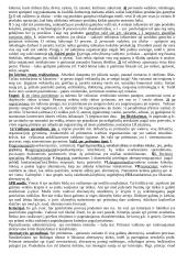 Vadybos teorijos ir samprata 8 puslapis