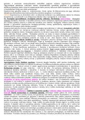 Vadybos teorijos ir samprata 10 puslapis