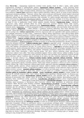 Vadyba senojoje Lietuvoje 4 puslapis