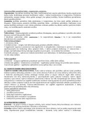 Vadybos įvado teorija 9 puslapis