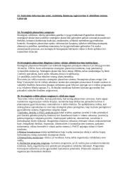 Vadyba ir administravimas 4 puslapis