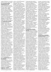 Verslo strategijų teorija 5 puslapis