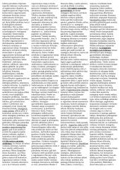 Verslo strategijų teorija 6 puslapis