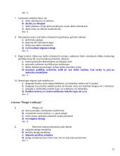 Makroekonomikos pasiruošimas egzaminui 13 puslapis