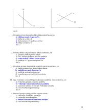 Makroekonomikos pasiruošimas egzaminui 19 puslapis