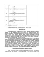 Alaus gamintojų įtaka alaus vartotojams 7 puslapis