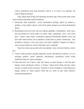 Bendravimo ypatumų  įmonėje tyrimas 13 puslapis