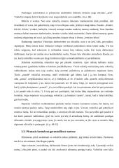 Germaniškasis vadybos modelis 10 puslapis