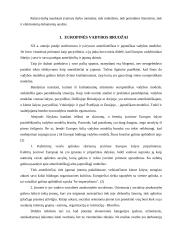 Germaniškasis vadybos modelis 3 puslapis