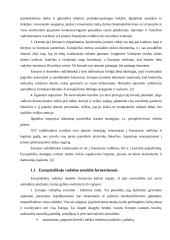 Germaniškasis vadybos modelis 4 puslapis