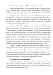 Germaniškasis vadybos modelis 7 puslapis