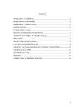 Jaunimo emigracijos tyrimas 2 puslapis