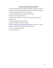 Jaunimo emigracijos tyrimas 18 puslapis