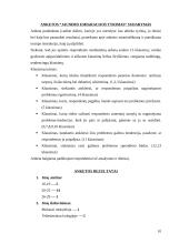 Jaunimo emigracijos tyrimas 10 puslapis