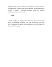 Marketingas turizmo įmonėse 11 puslapis