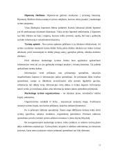 Svarbiausia informacija apie marketingo tyrimą 11 puslapis