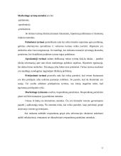 Svarbiausia informacija apie marketingo tyrimą 12 puslapis