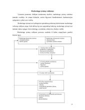 Svarbiausia informacija apie marketingo tyrimą 13 puslapis