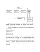 Svarbiausia informacija apie marketingo tyrimą 17 puslapis