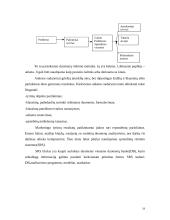 Svarbiausia informacija apie marketingo tyrimą 18 puslapis