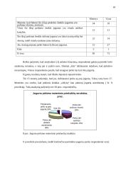 Marketingo tyrimas: AB "Pieno žvaigždės" produktas jogurtas JO 17 puslapis