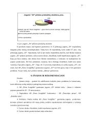 Marketingo tyrimas: AB "Pieno žvaigždės" produktas jogurtas JO 20 puslapis