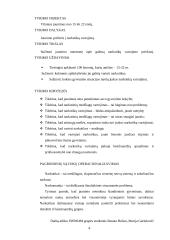 Narkotikų problemos aktualumas 4 puslapis