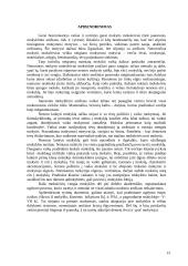 Nenoras lankyti mokyklą 13 puslapis