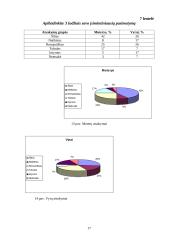 Pirmojo pasimatymo aplinkybių tyrimas 17 puslapis