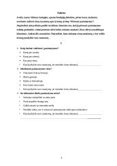 Pirmojo pasimatymo aplinkybių tyrimas 4 puslapis