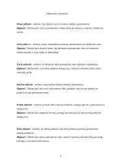 Pirmojo pasimatymo aplinkybių tyrimas 6 puslapis