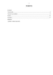 Reklama Lietuvoje: anketinis tyrimas 2 puslapis