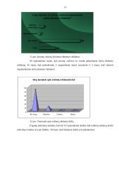 Reklama Lietuvoje: anketinis tyrimas 11 puslapis