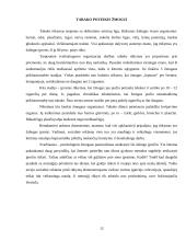 Socialinė reklama prieš rūkymą 12 puslapis