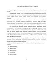 Socialinė reklama prieš rūkymą 7 puslapis