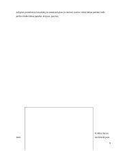 Studentų laisvalaikis 7 puslapis