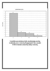 Studentų požiūris į santuoką 11 puslapis