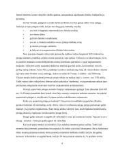 Šiuolaikinio jaunimo piniginės išlaidos 3 puslapis