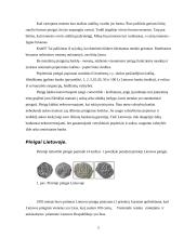 Šiuolaikinio jaunimo piniginės išlaidos 4 puslapis