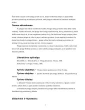 Šiuolaikinio jaunimo piniginės išlaidos 6 puslapis