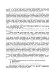 Mokslinio tyrimo proceso organizavimas 11 puslapis