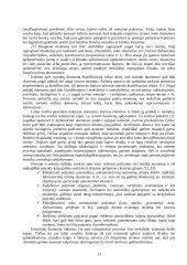 Mokslinio tyrimo proceso organizavimas 13 puslapis