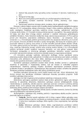 Mokslinio tyrimo proceso organizavimas 8 puslapis